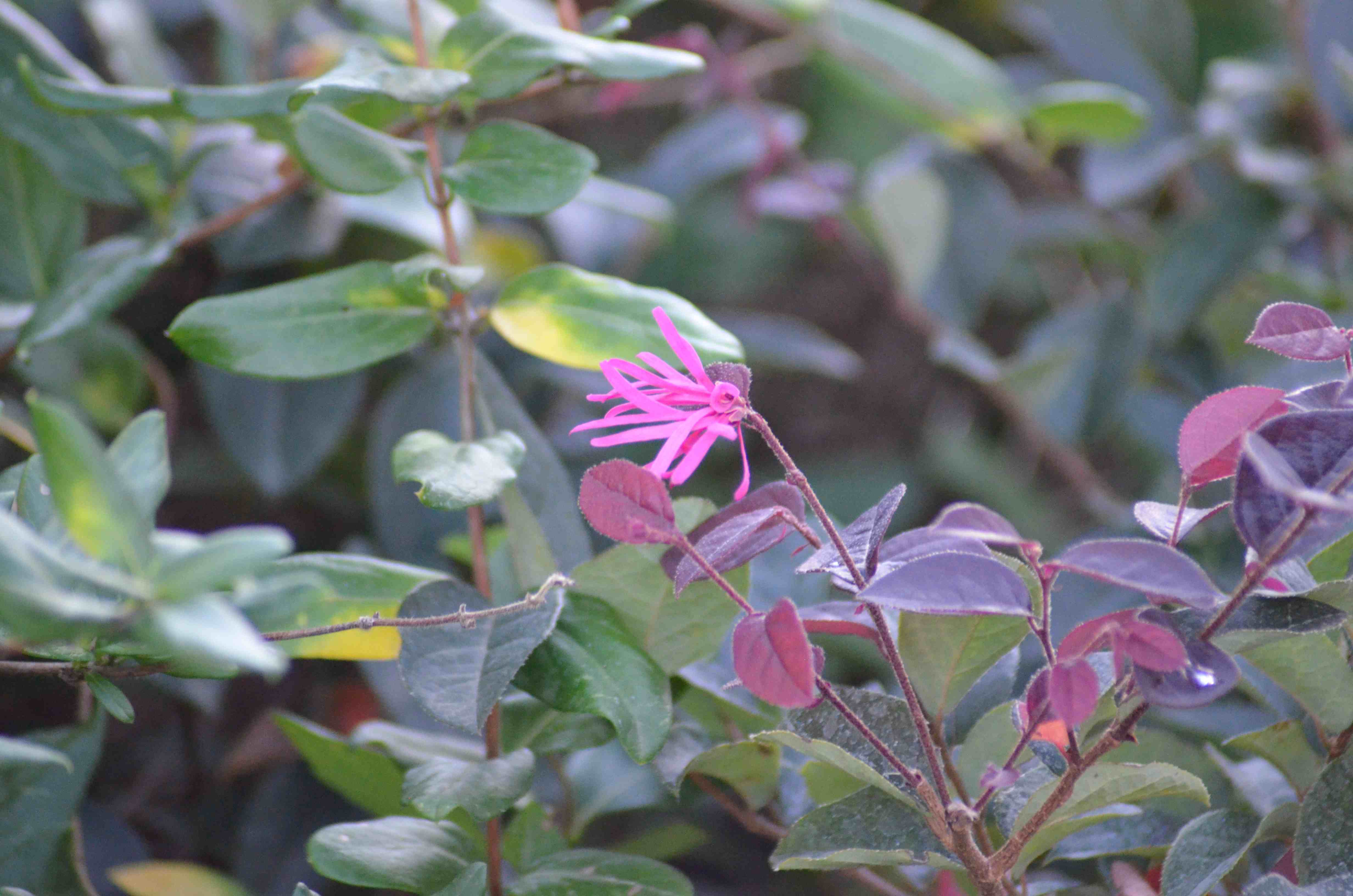 No s'ha trobat l'arxiu